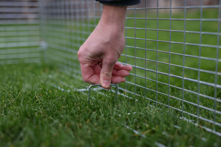 KERBL Jungtier-Freilaufgehege mit Ausbruchsperre